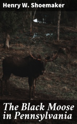 The Black Moose in Pennsylvania