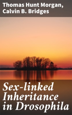 Sex-linked Inheritance in Drosophila
