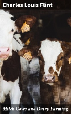 Milch Cows and Dairy Farming