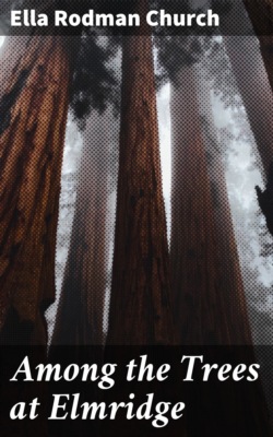 Among the Trees at Elmridge