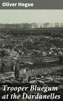 Trooper Bluegum at the Dardanelles