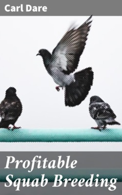 Profitable Squab Breeding