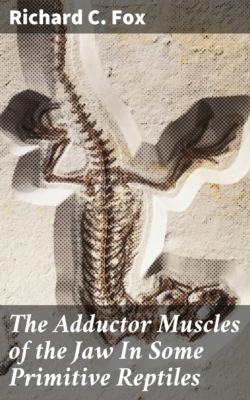 The Adductor Muscles of the Jaw In Some Primitive Reptiles