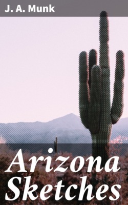 Arizona Sketches