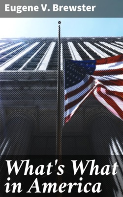 What's What in America