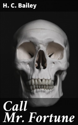 Call Mr. Fortune