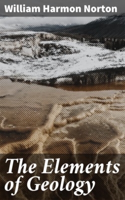 The Elements of Geology