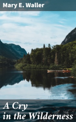 A Cry in the Wilderness