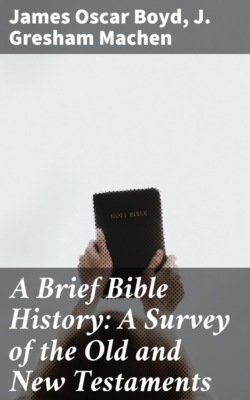 A Brief Bible History: A Survey of the Old and New Testaments