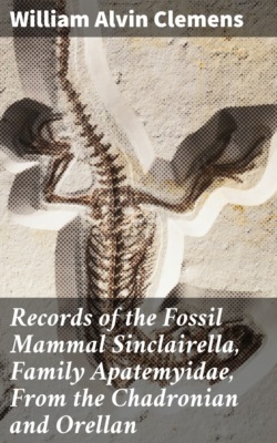 Records of the Fossil Mammal Sinclairella, Family Apatemyidae, From the Chadronian and Orellan