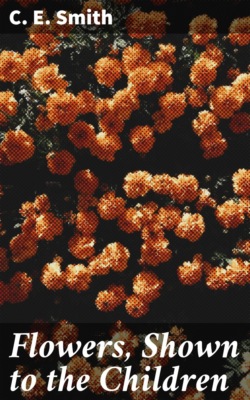 Flowers, Shown to the Children
