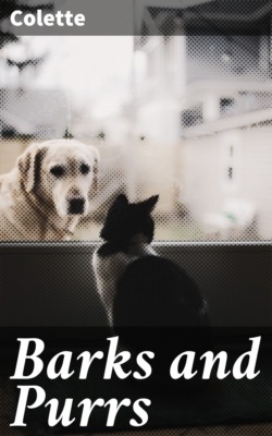Barks and Purrs