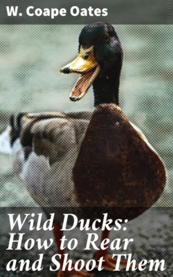 Wild Ducks: How to Rear and Shoot Them
