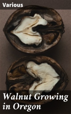 Walnut Growing in Oregon