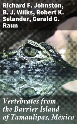 Vertebrates from the Barrier Island of Tamaulipas, México