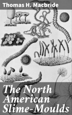 The North American Slime-Moulds