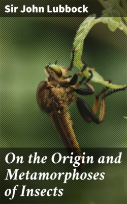 On the Origin and Metamorphoses of Insects