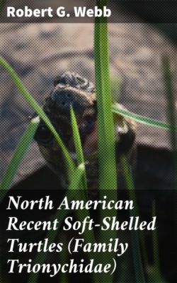 North American Recent Soft-Shelled Turtles (Family Trionychidae)