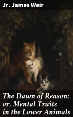 The Dawn of Reason; or, Mental Traits in the Lower Animals
