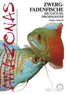 Zwergfadenfische