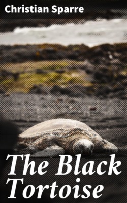 The Black Tortoise