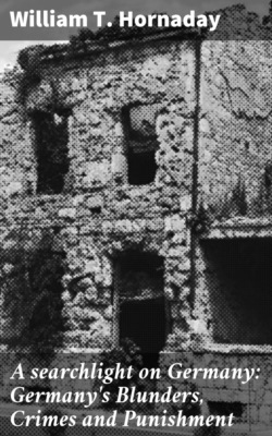 A searchlight on Germany: Germany's Blunders, Crimes and Punishment