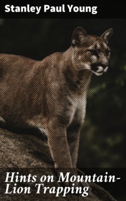 Hints on Mountain-Lion Trapping