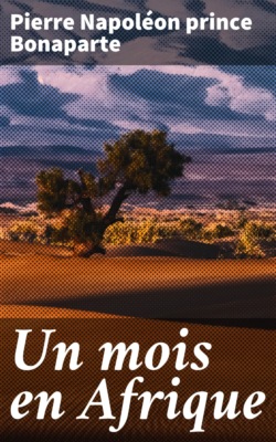 Un mois en Afrique