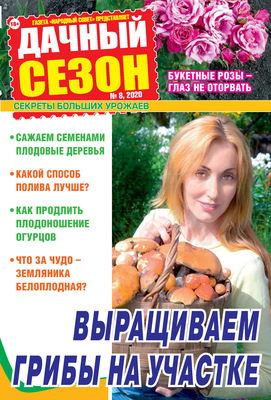 Дачный сезон №08/2020