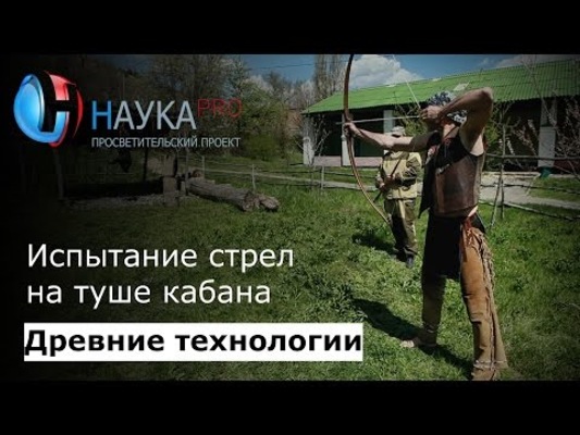 Испытание стрел на туше кабана