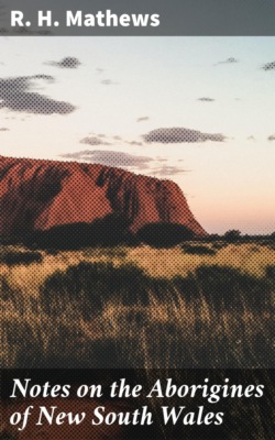 Notes on the Aborigines of New South Wales