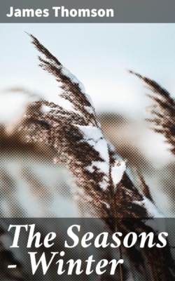 The Seasons — Winter