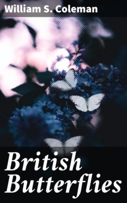 British Butterflies