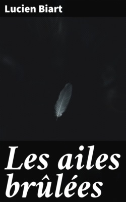 Les ailes brûlées