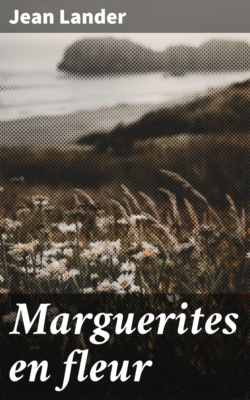 Marguerites en fleur