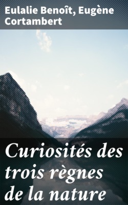 Curiosités des trois règnes de la nature