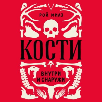 Кости: внутри и снаружи