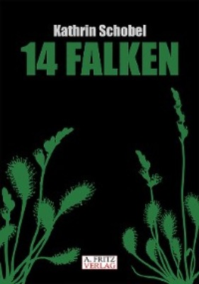 14 Falken