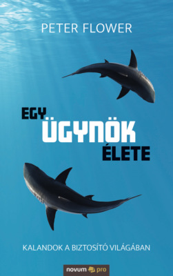 Egy ügynök élete
