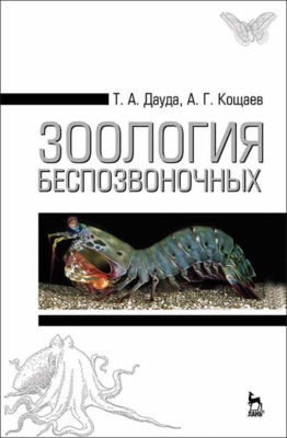 Зоология беспозвоночных