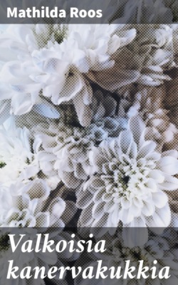 Valkoisia kanervakukkia