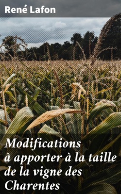 Modifications à apporter à la taille de la vigne des Charentes
