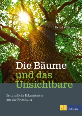 Die Bäume und das Unsichtbare - eBook