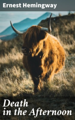 Death in the Afternoon