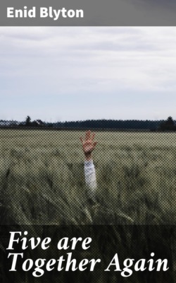 Five are Together Again