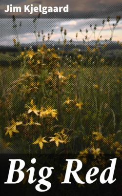 Big Red