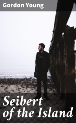 Seibert of the Island