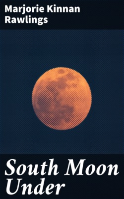 South Moon Under