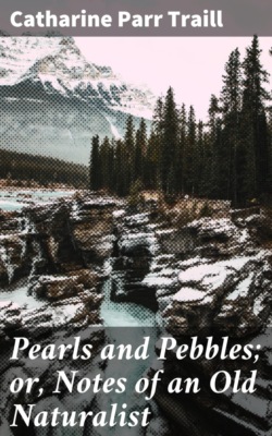 Pearls and Pebbles; or, Notes of an Old Naturalist