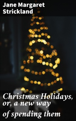 Christmas Holidays, or, a new way of spending them